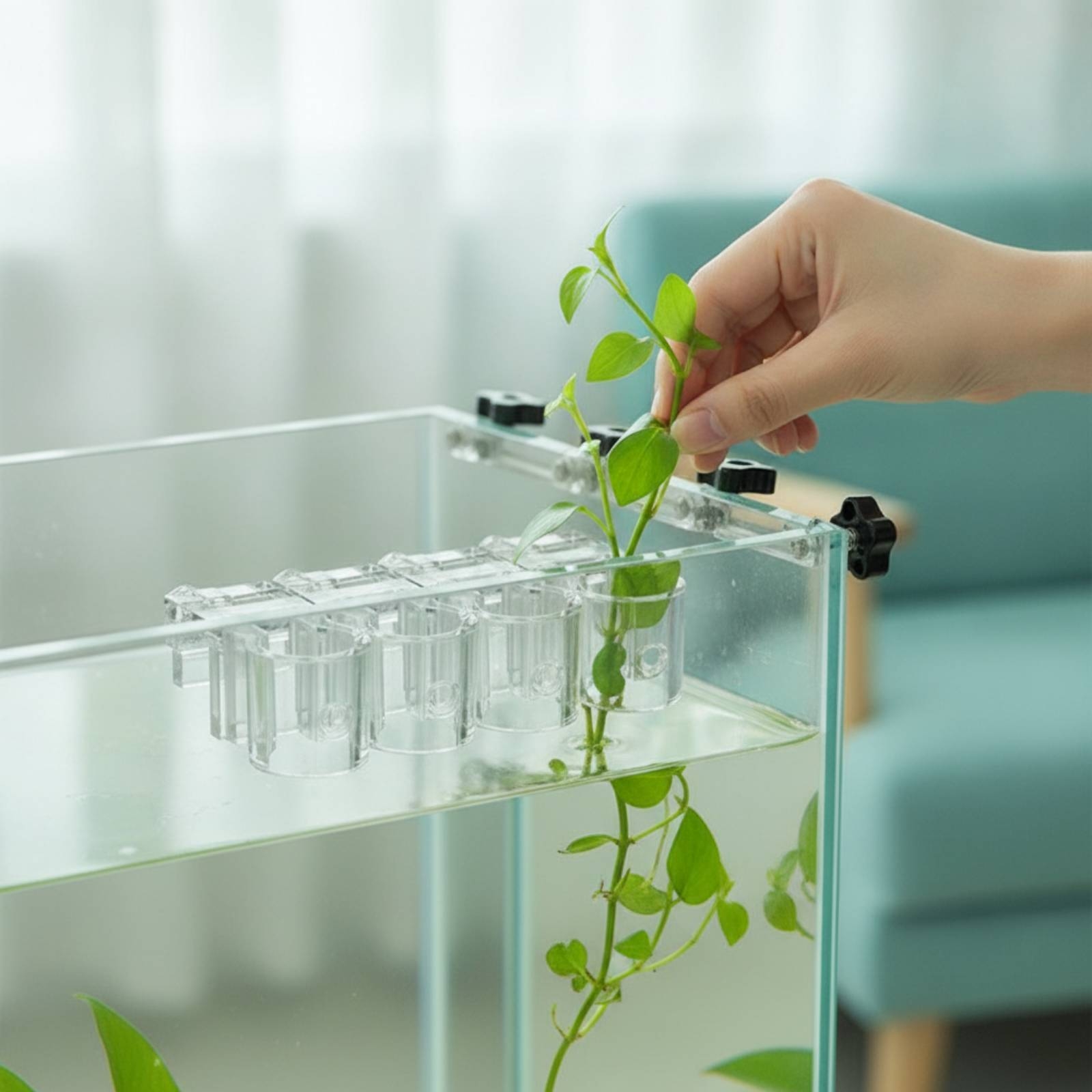 Aquarium Plants - 6 sztuk przezroczystych klipsów do hydroponiki