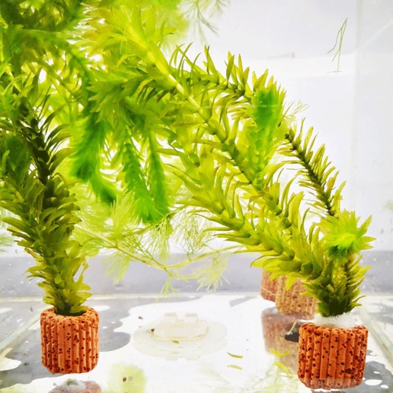 Emersed Plants Aquarium - Kotwy do mocowania roślin QX2E do