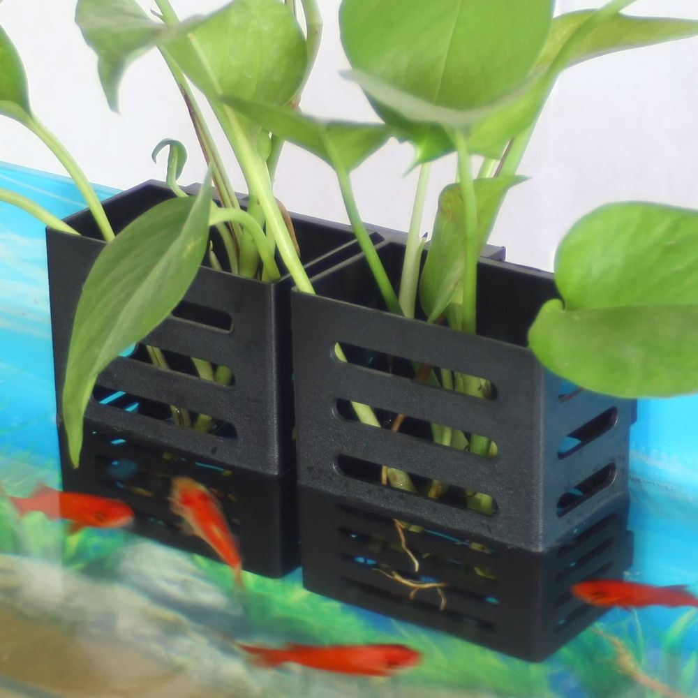 Emersed Plants Aquarium - Hydroponiczne akwarium Szklany uchwyt na rośliny