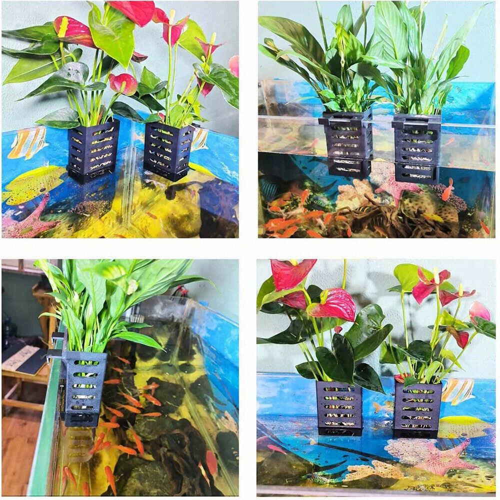 Emersed Plants Aquarium - Stojak na rośliny wodne do akwarium,