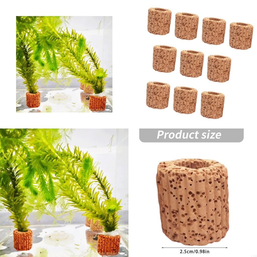 Emersed Plants Aquarium - F19B Uchwyty na rośliny akwariowe Kubki