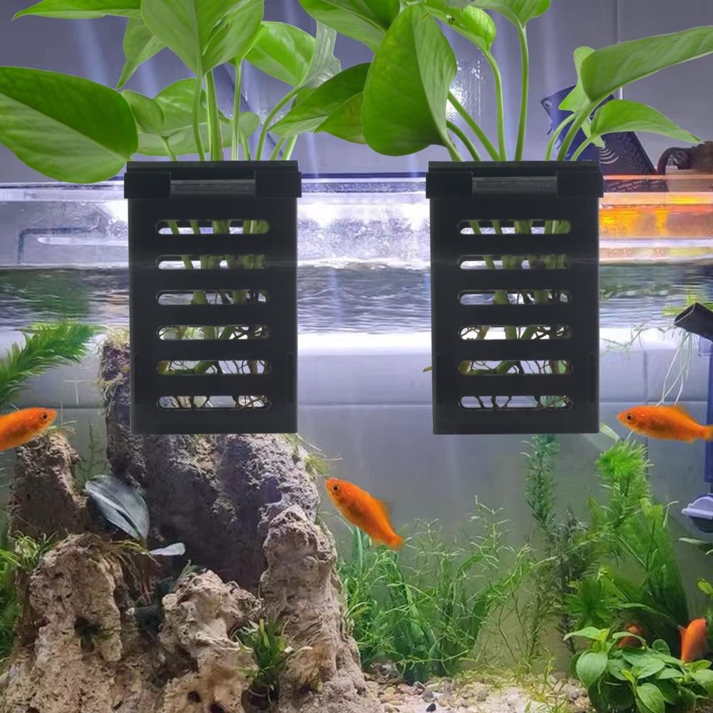 Roślina wodna Krajobraz Uchwyt – Emersed Plants Aquarium recenzja i cena