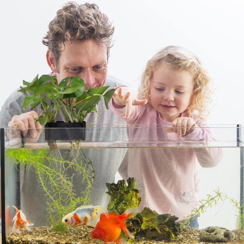 Wiszący uchwyt na roślina akwa – Emersed Plants Aquarium recenzja i cena