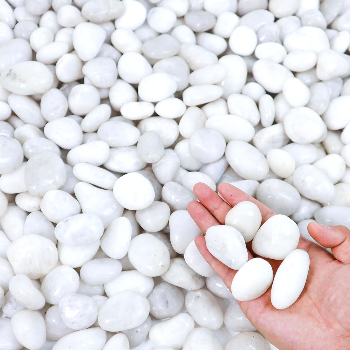 400g Białe, polerowane, natura – Aquarium Sand White recenzja i cena