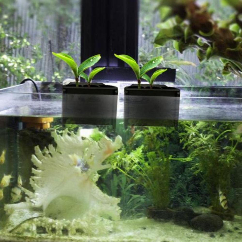 Zintegrowana doniczka akwariow – Emersed Plants Aquarium recenzja i cena