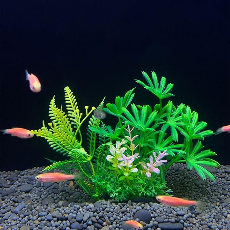 Sztuczna roślina dekoracyjna d – Aquarium Plants For Sale recenzja i cena
