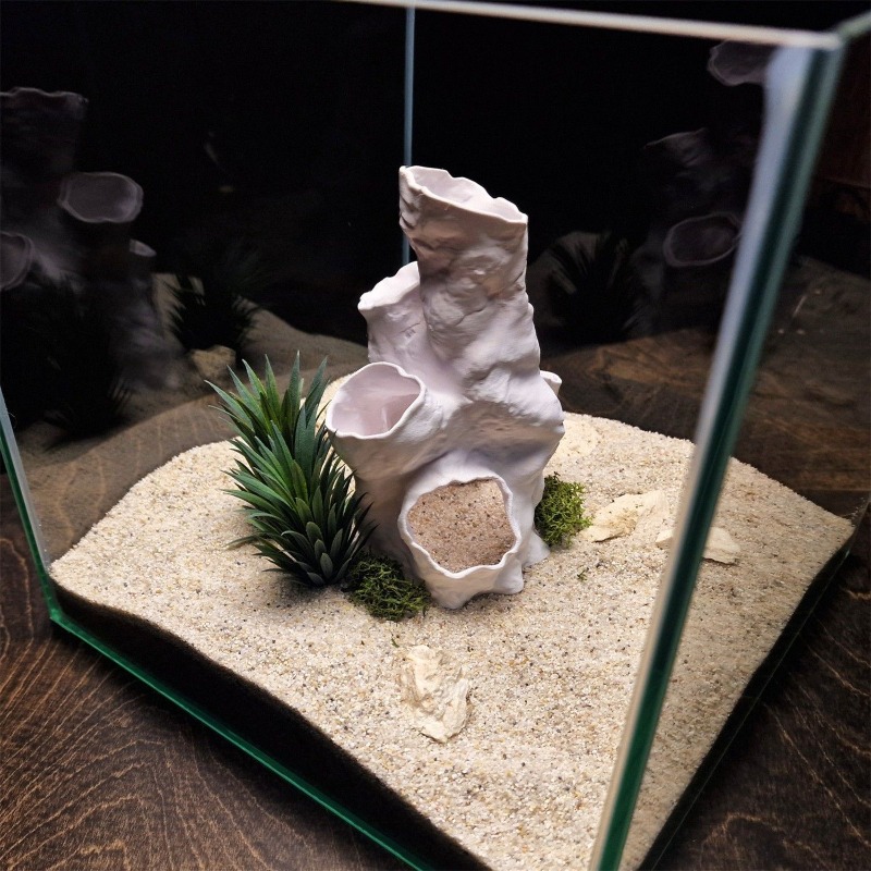 Gorąca Wyprzedaż Drukowany w 3 – Aquarium Plants For Sale recenzja i cena