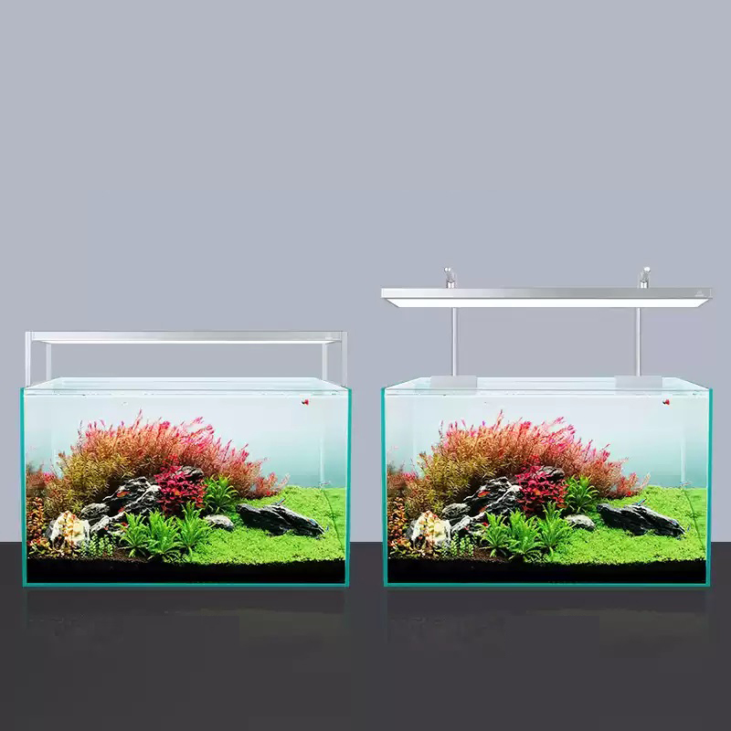 Week Aqua L Series WRGB UV Ful – Planted Aquarium Uv Light recenzja i cena
