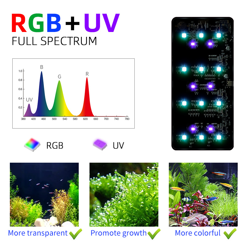 Gorąca Wyprzedaż Mini9pro Nano – Aquarium Plants For Sale recenzja i cena