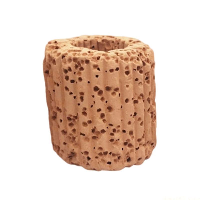 Kotwy do mocowania roślin QX2E – Emersed Plants Aquarium recenzja i cena