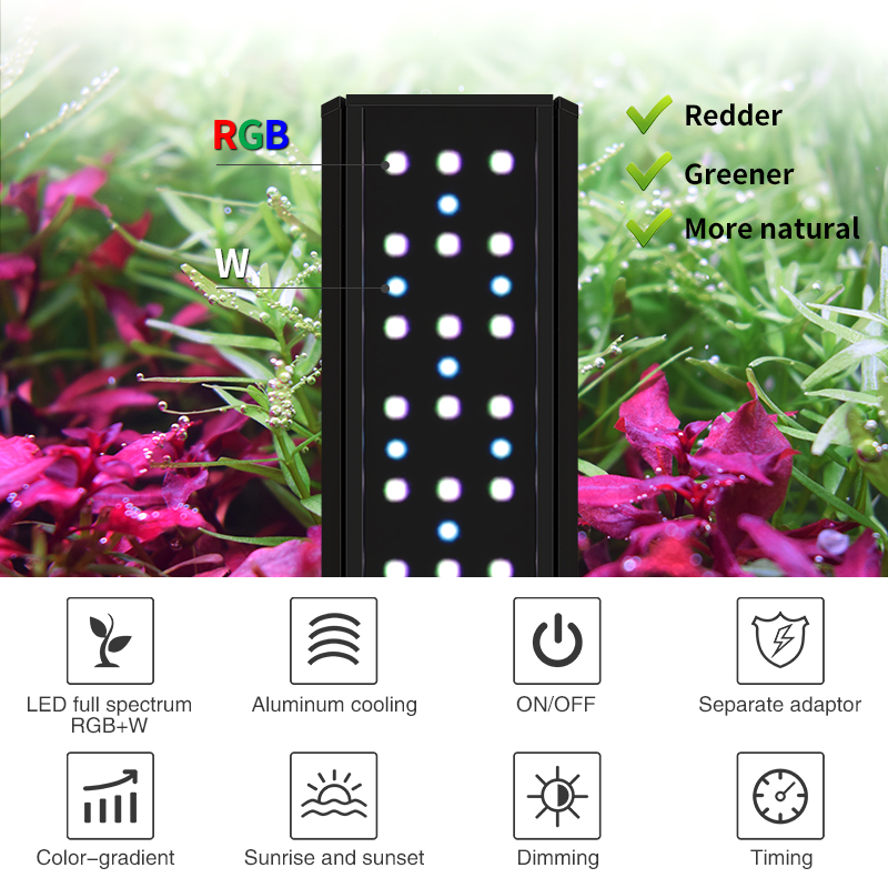 ZXY Gorąca Wyprzedaż WEEKAQUA  – Aquarium Plants For Sale recenzja i cena
