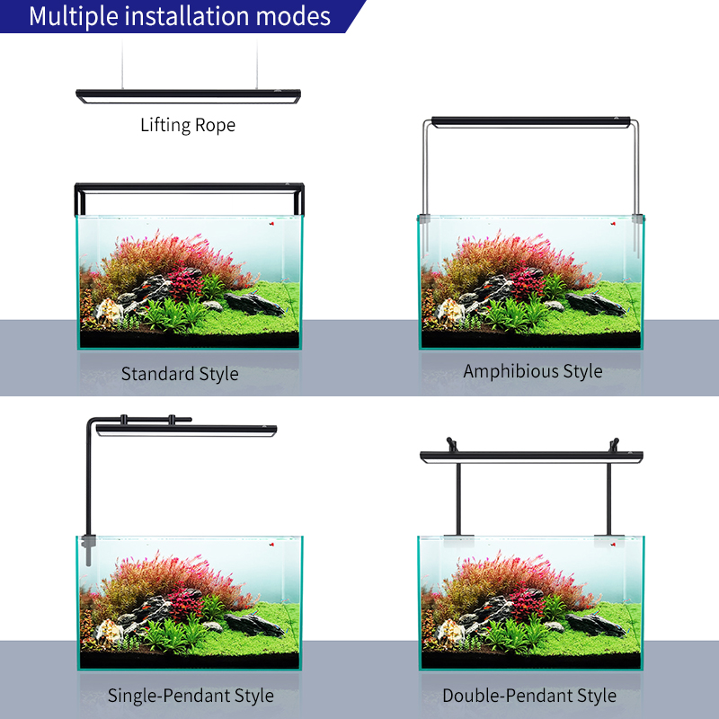ZXY Gorąca Wyprzedaż WEEKAQUA  – Aquarium Plants For Sale recenzja i cena