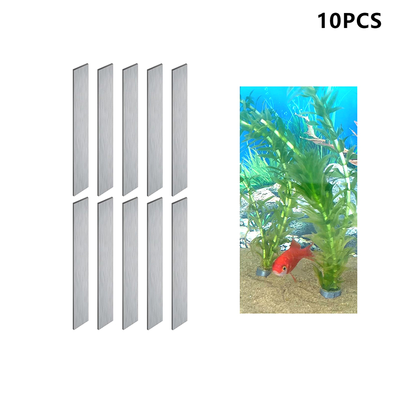 Nowa Wyprzedaż 10 szt. Elastyc – Aquarium Plants For Sale recenzja i cena