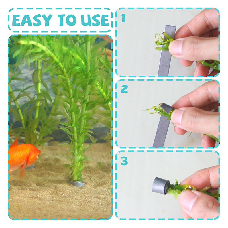 Nowa Wyprzedaż 10 szt. Elastyc – Aquarium Plants For Sale recenzja i cena