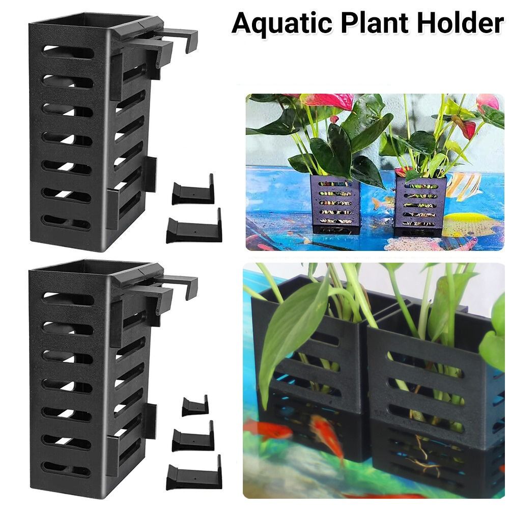 Hydroponiczne akwarium Szklany – Emersed Plants Aquarium recenzja i cena