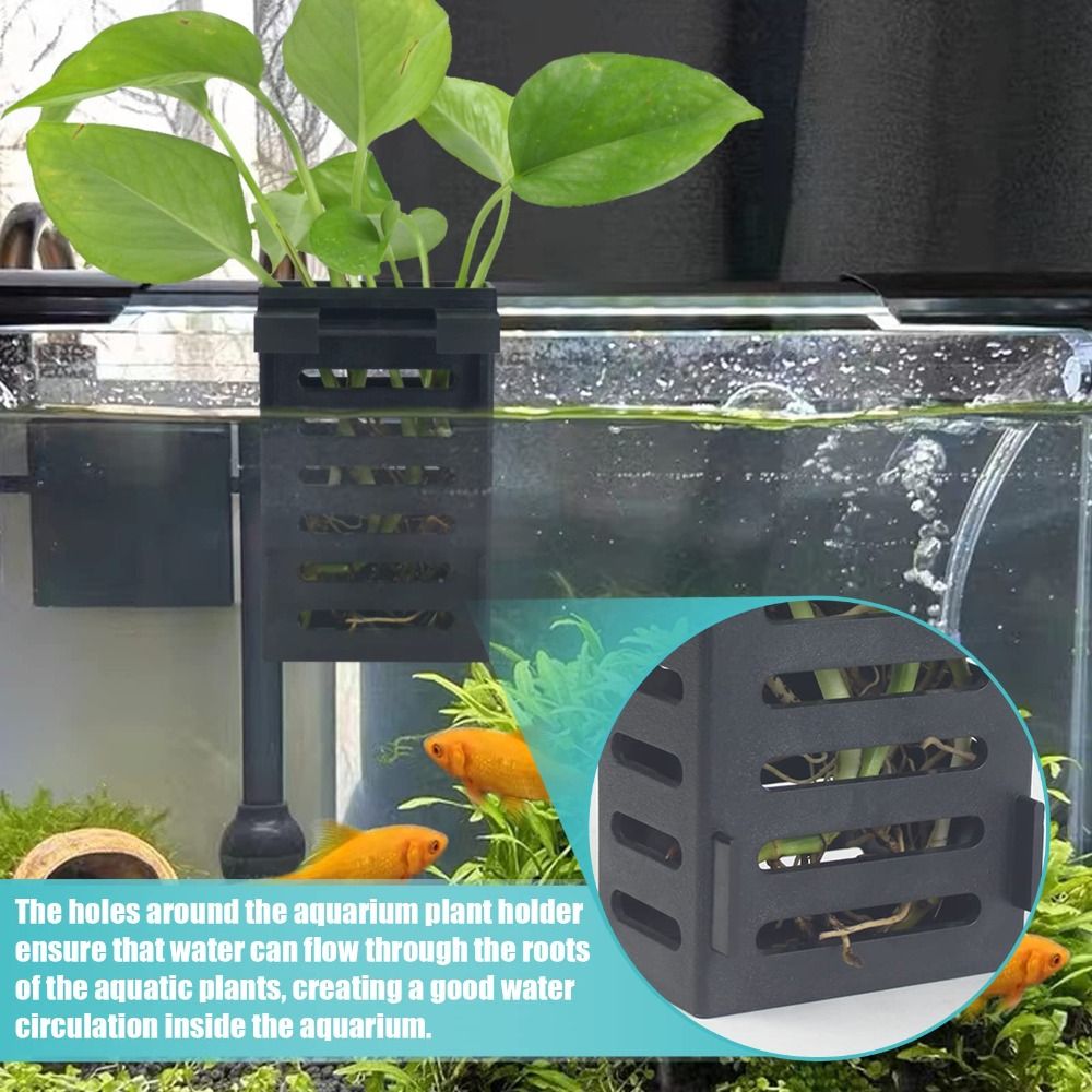 Hydroponiczne akwarium Szklany – Emersed Plants Aquarium recenzja i cena
