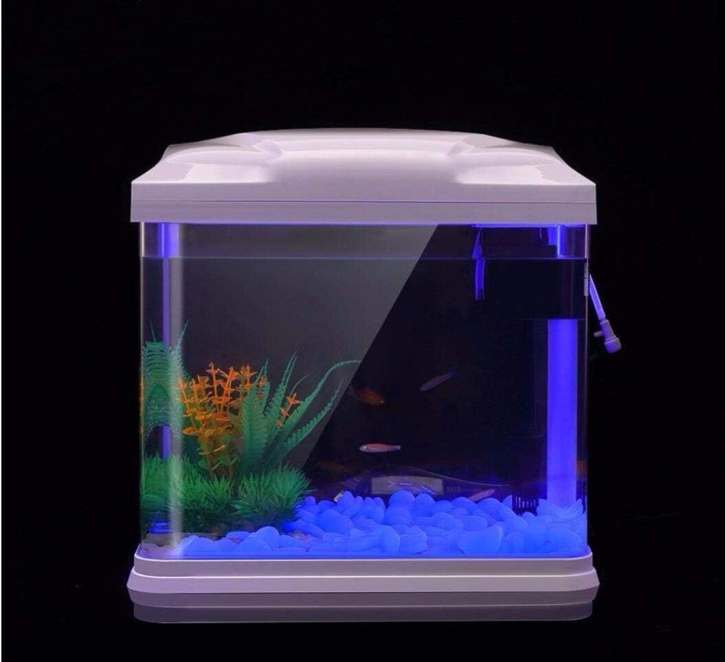 Fish Tank Rocks Glow Blue Pebb – Planted Aquarium Supplies recenzja i cena