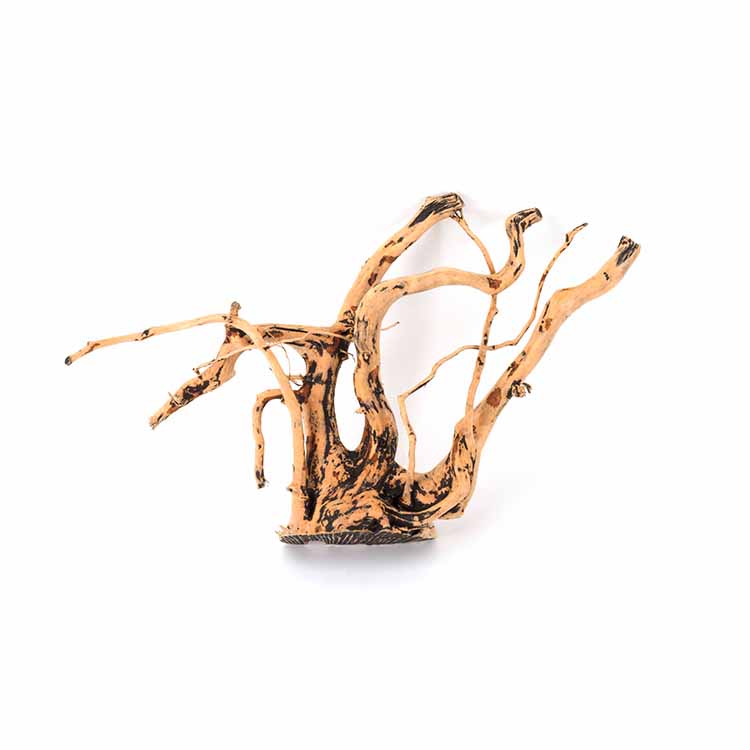 Hurtowa Sprzedaż Naturalnych D – Aquarium Plants For Sale recenzja i cena