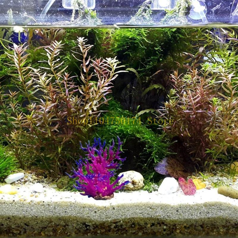 Sztuczne drzewo Roślina dekora – Aquarium Plants For Sale recenzja i cena