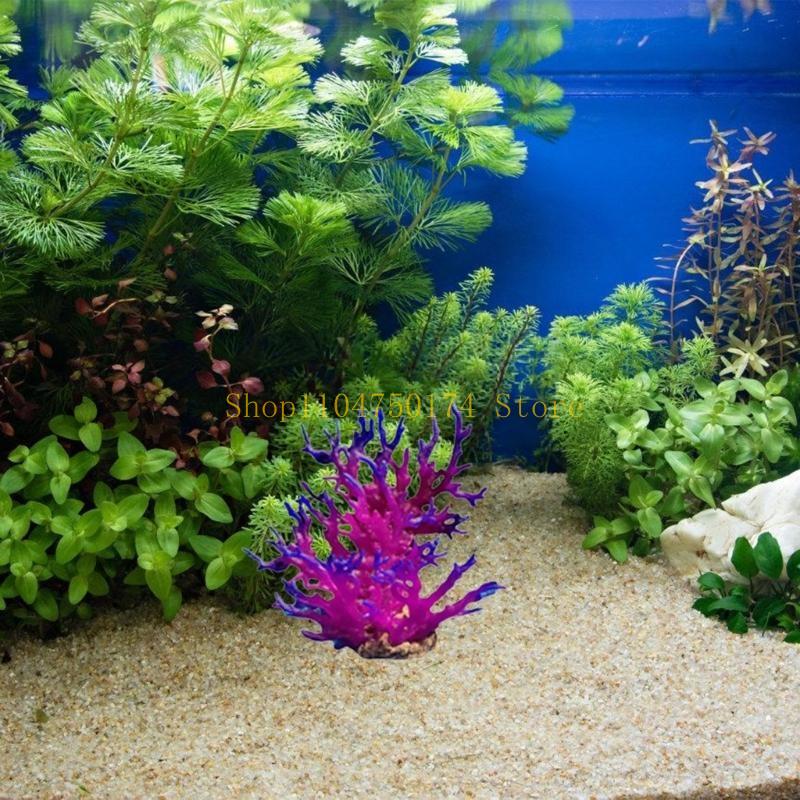Sztuczne drzewo Roślina dekora – Aquarium Plants For Sale recenzja i cena
