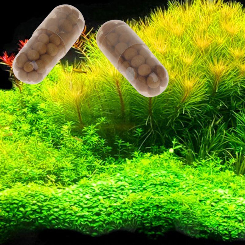 QX2E Akwarium Nawóz na żywe ro – Aquarium Plant Root Fertilizer recenzja i cena
