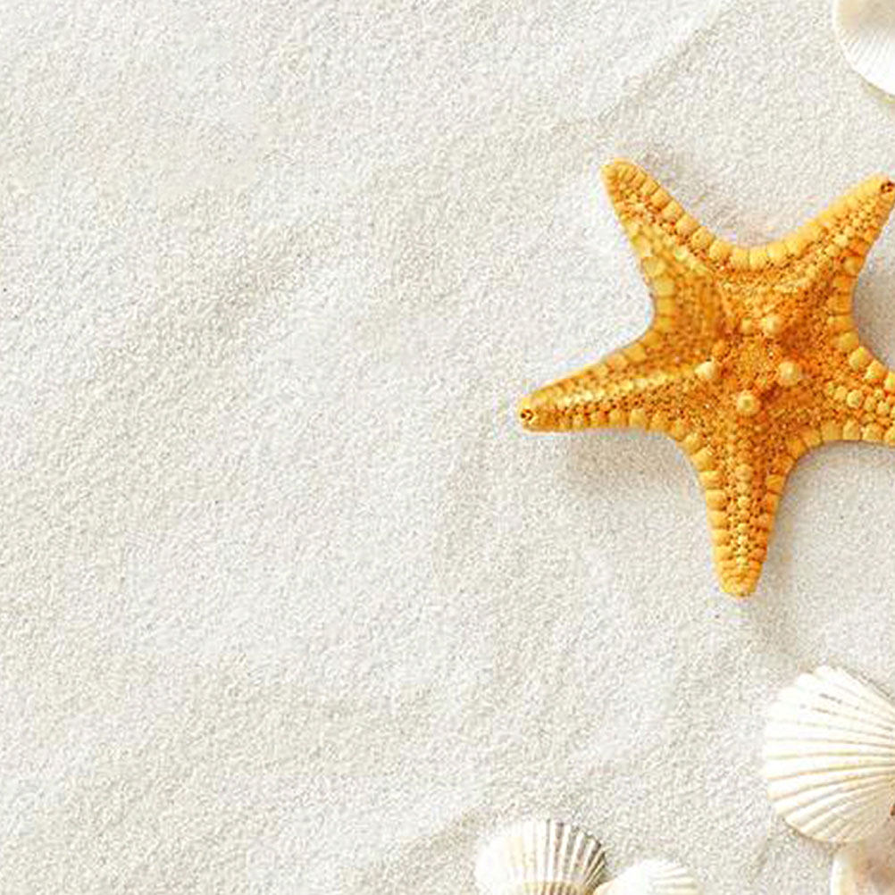 5 opakowań białego piasku 80 g – Aquarium Sand White recenzja i cena