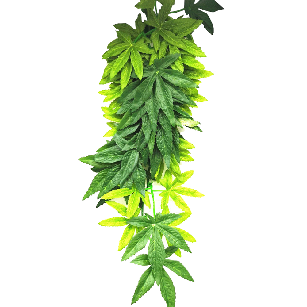GORĄCA WYPRZEDAŻ 30/40/50CM Ak – Aquarium Plants For Sale recenzja i cena