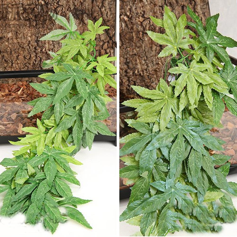 GORĄCA WYPRZEDAŻ 30/40/50CM Ak – Aquarium Plants For Sale recenzja i cena
