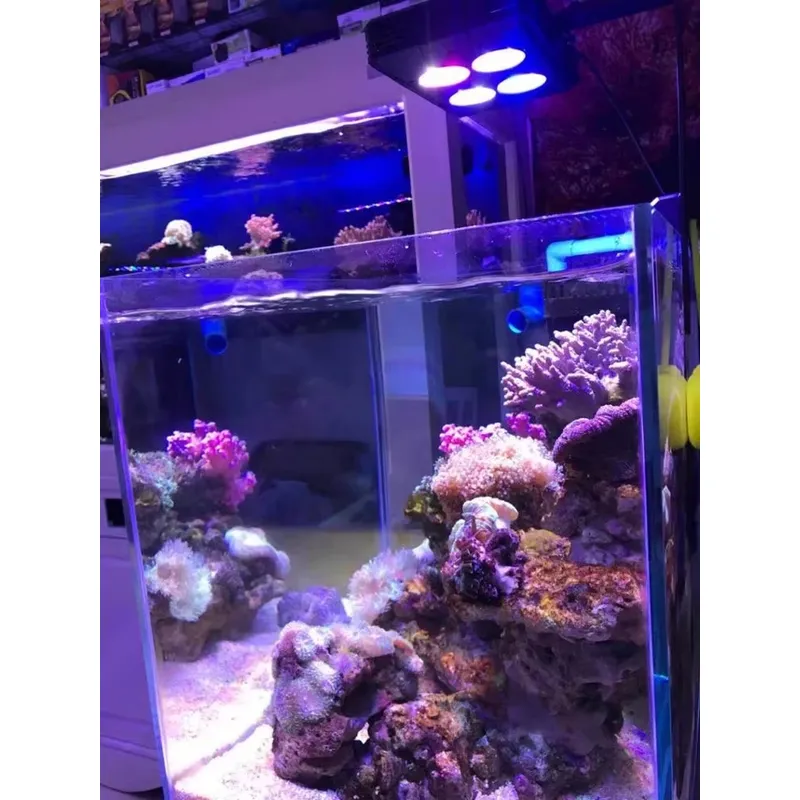 Gako A052 52W Popularne Oświet – Aquarium Plants For Sale recenzja i cena