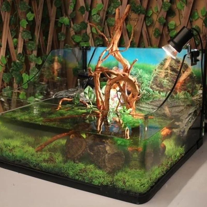 Naturalny tron drzewa, drewno  – Planted Aquarium Making recenzja i cena