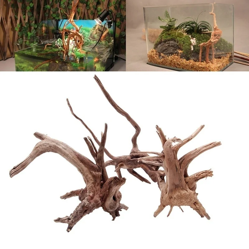 Naturalny tron drzewa, drewno  – Planted Aquarium Making recenzja i cena