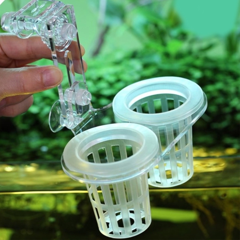 Stojak na rośliny akwariowe, u – Emersed Plants Aquarium recenzja i cena