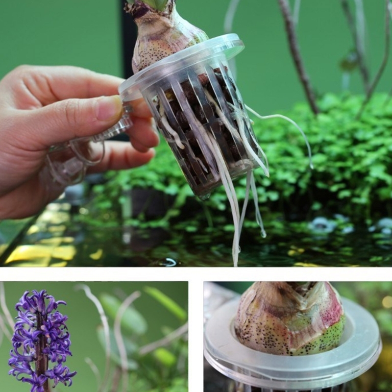Stojak na rośliny akwariowe, u – Emersed Plants Aquarium recenzja i cena