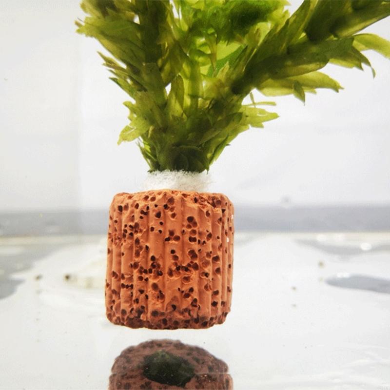 F19B Uchwyty na rośliny akwari – Emersed Plants Aquarium recenzja i cena