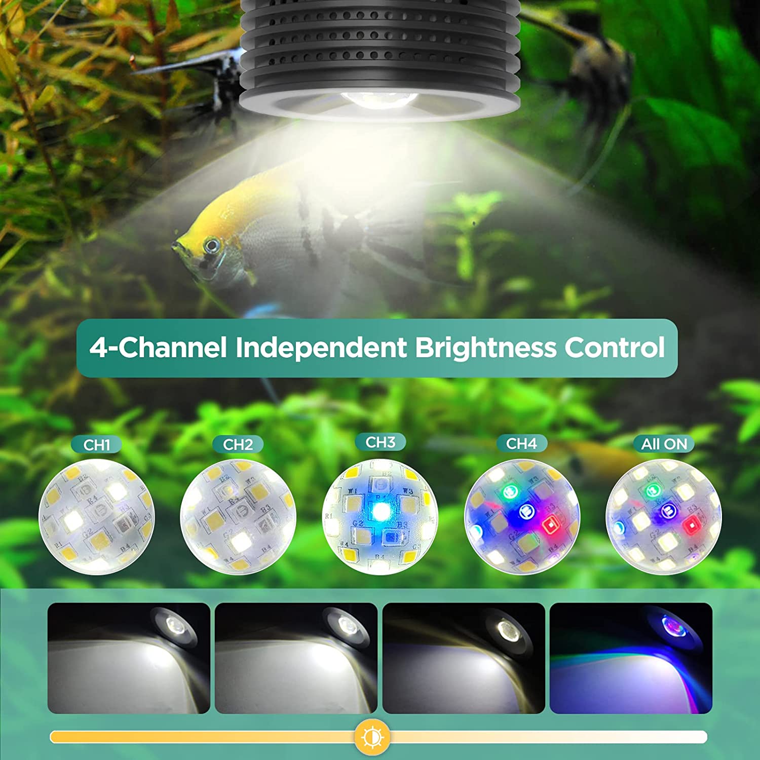 Lominie Asta 20 słodkowodne 18 – Planted Aquarium Uv Light recenzja i cena