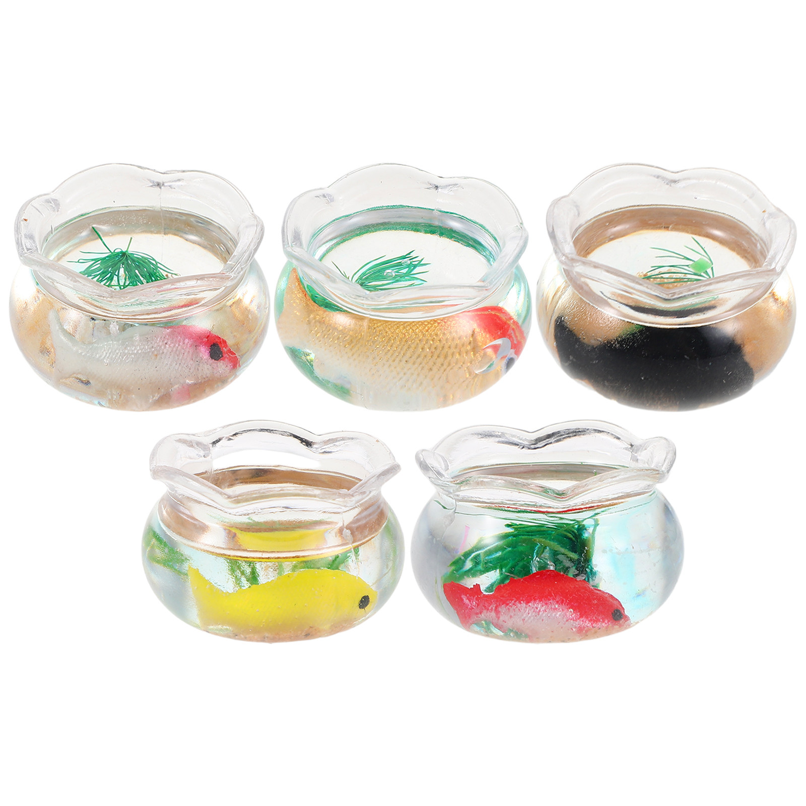 5 szt. Mini akwarium dla rybek – Aquarium Plants recenzja i cena