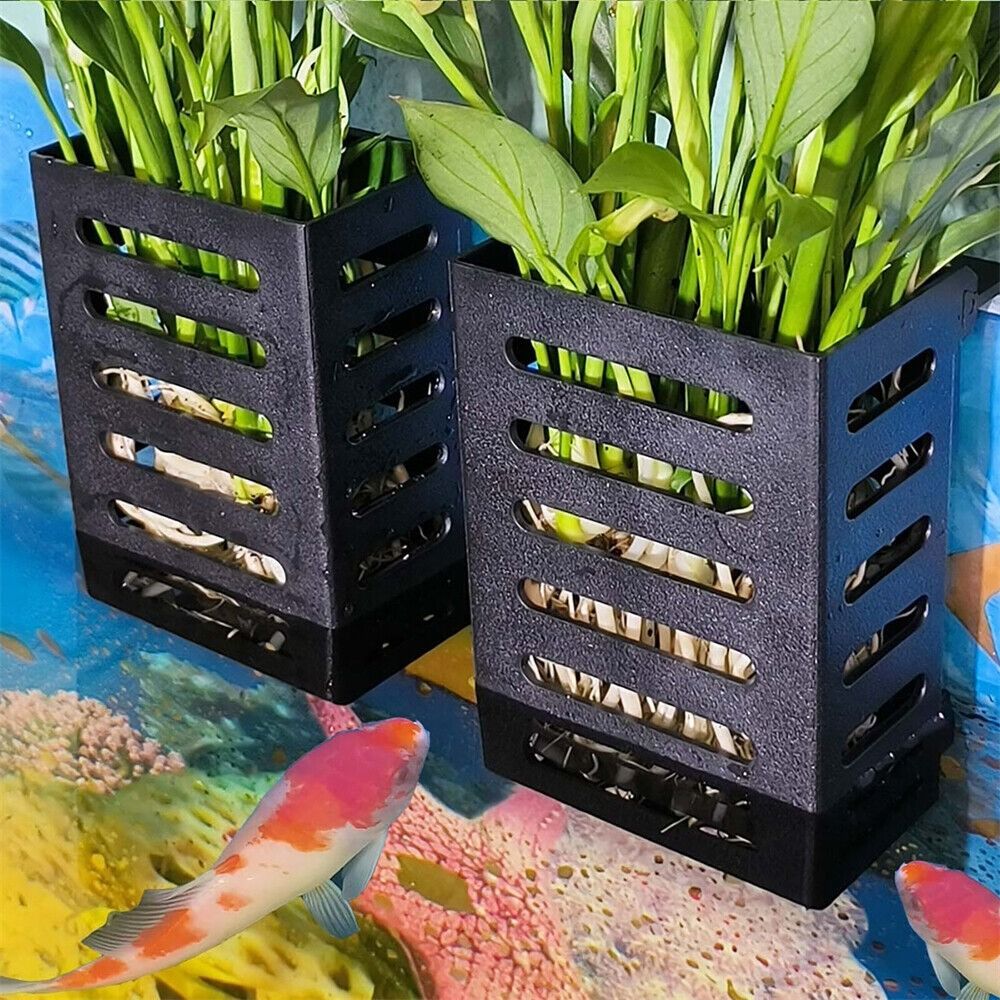 Akwarium roślinne, rośliny wod – Emersed Plants Aquarium recenzja i cena